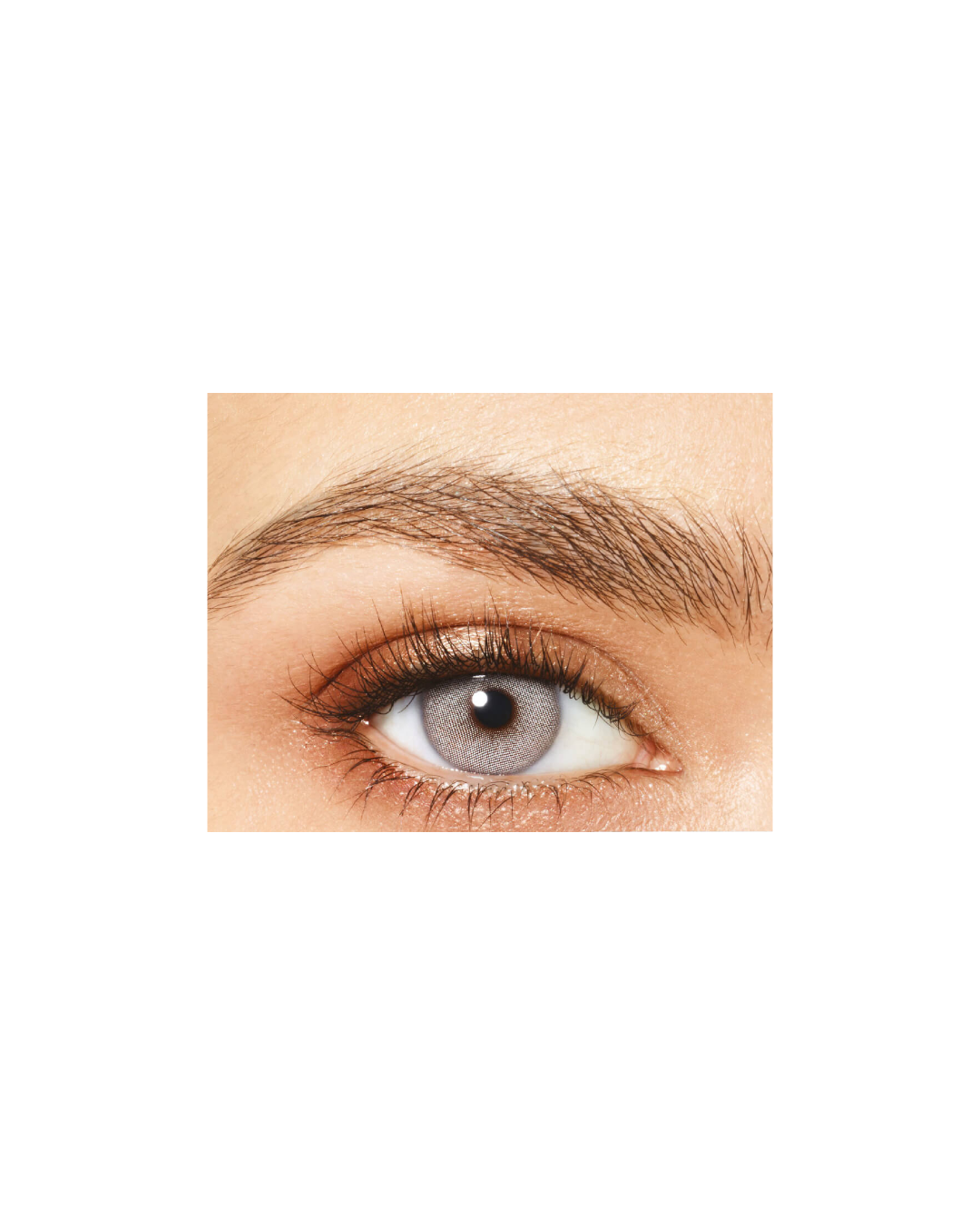 Close-up of a gray eye with a well-groomed eyebrow on a white background