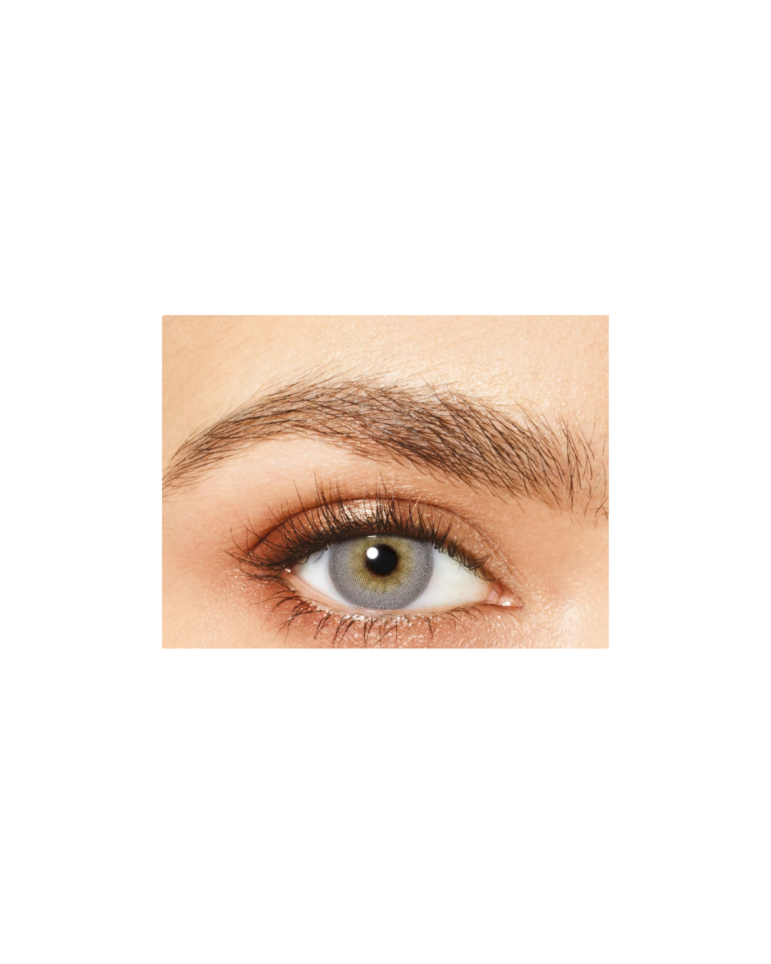 Close-up of a person's eye with a light brown eyebrow on a white background
