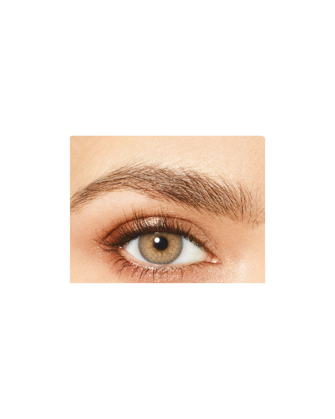 Close-up of a brown eye with a light beige background