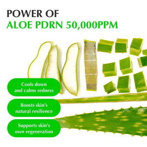 EQQUAL BERRY Green Aid Aloe PDRN Calming Serum 30 ml soothing Korean serum